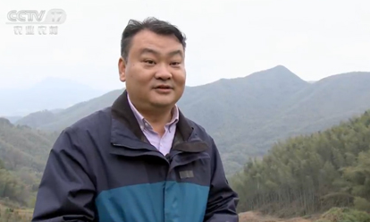 从亏200多万到年入800万从投资人到菜农这3年他究竟经历了什么