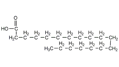 硬脂酸结构式图片