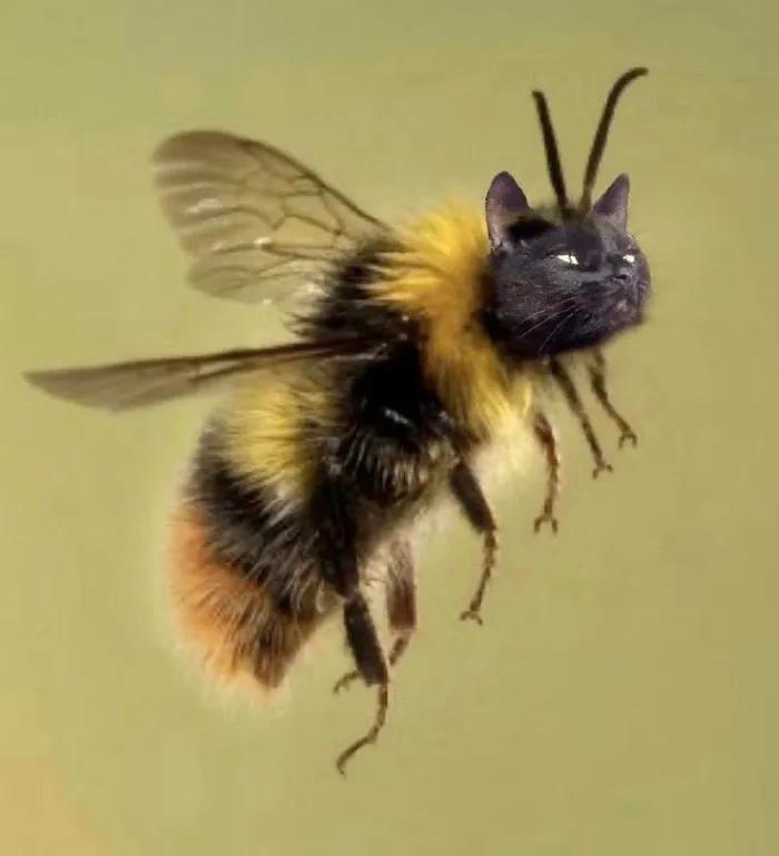 闺蜜网上买了一件衣服结果穿上去后像个肌肉猛男