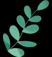 一起听书少图在线云朵面包