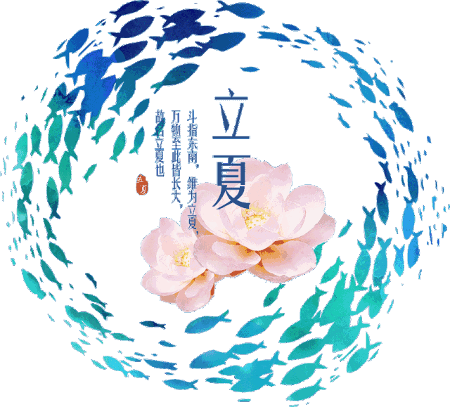 今日立夏清晨第一声问候送给你请查收