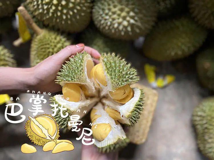 平价版本猫山王0656起抢购巴掌托曼尼榴莲够黄够饱满够重口味
