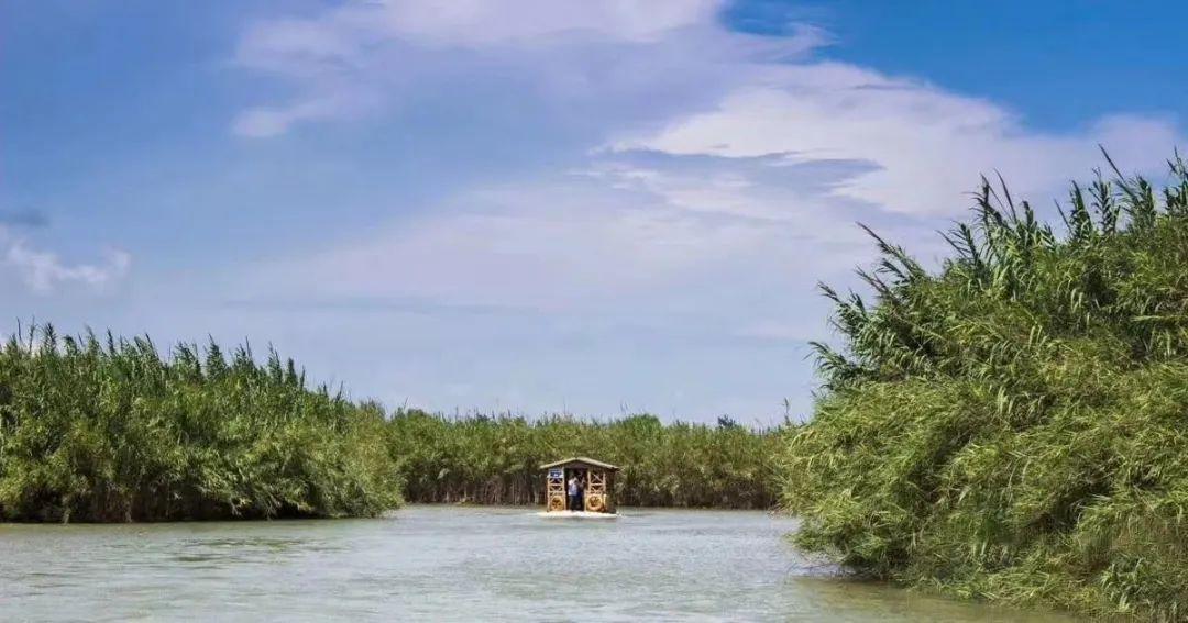 長假完美落幕熱情永不消退洪澤湖溼地景區期待與您再相遇