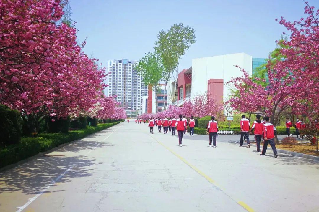 这里是五莲中学!