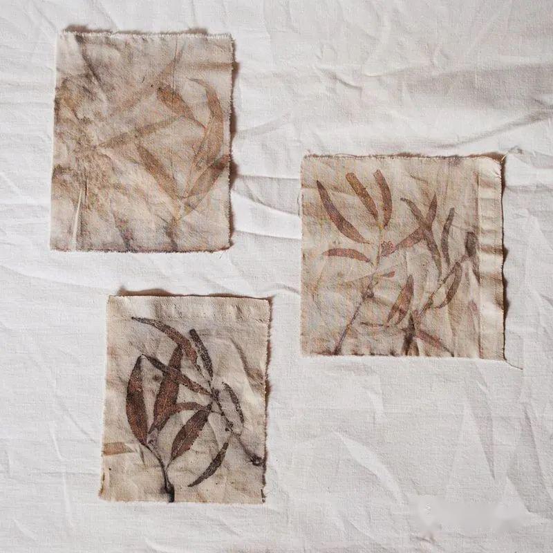 植物拓染让植物的色彩与形状永恒的封存在布料上