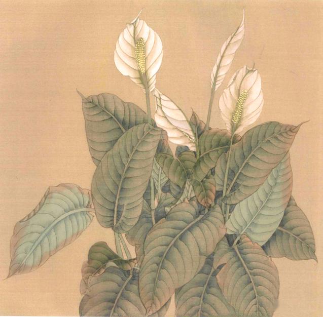 传统工笔花卉端庄秀丽