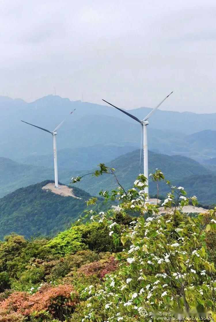 文笔山大风车旅游区图片