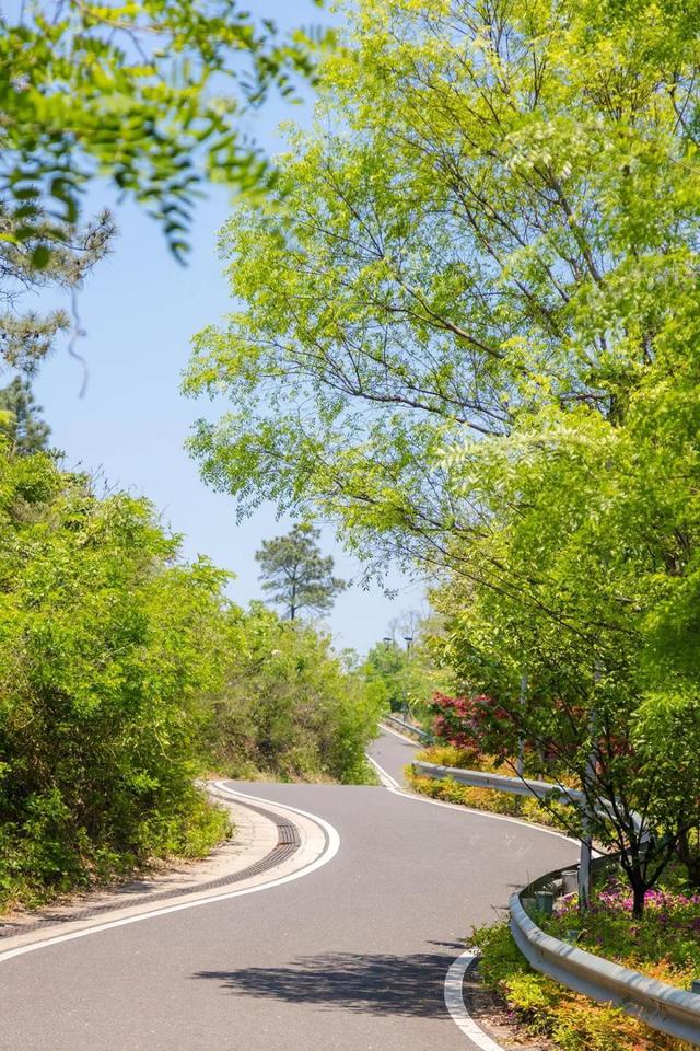 苏州新区玉屏山这条免费小众徒步健身路线春夏来正好