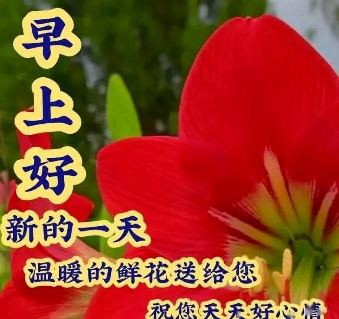 5月5日周二群发早上好问候祝福动态表情图片5月最美早晨好问候表情