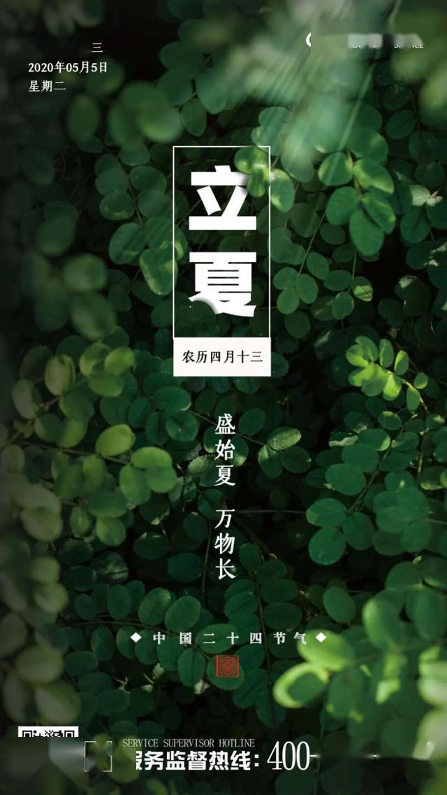 万物并秀向光而立物业企业2020立夏海报大赏