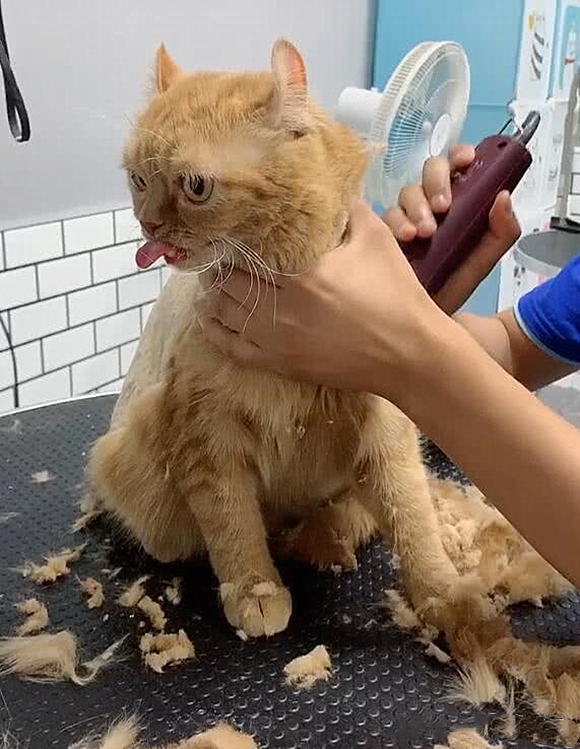 ŮӴèȥ,;ȥ鿴,ȴЦͣ