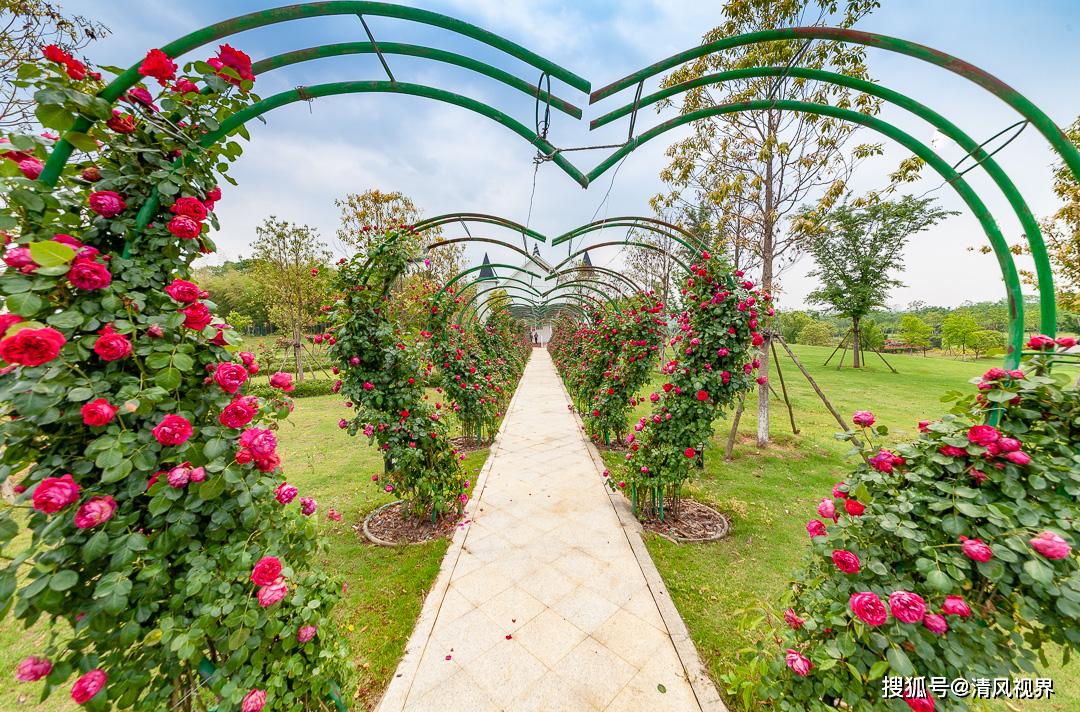 蜜月湾玫瑰园位于咸宁市咸安区梓山湖大道1号,离武汉市约一个多小时