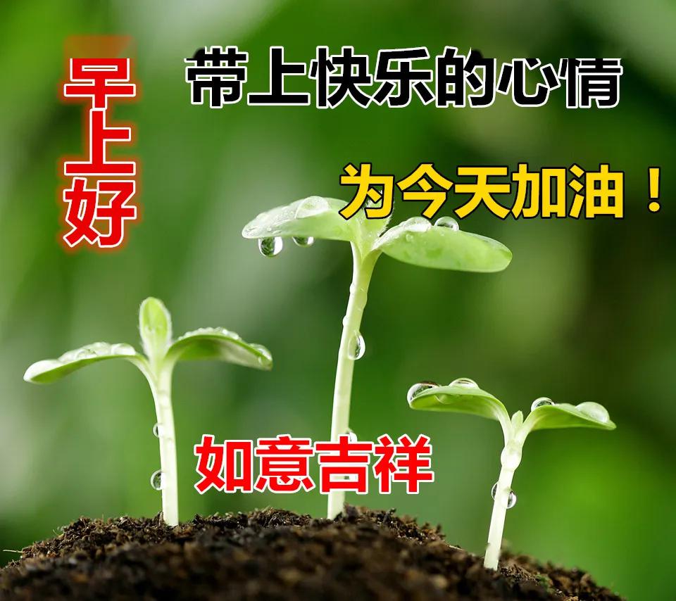 夏天早安,最美早上好問候語動態圖片表情大全