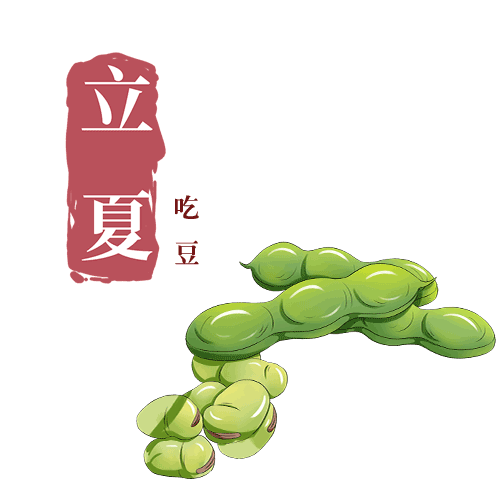 立夏来咯蚕豆吃起来