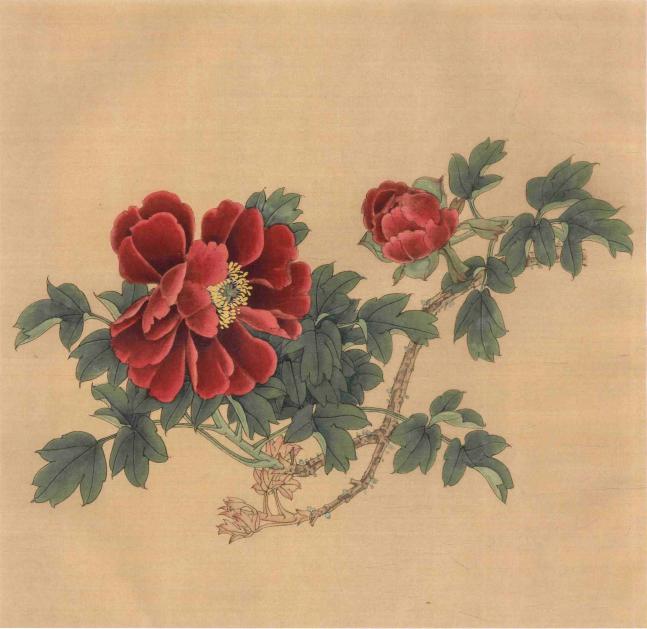 传统工笔花卉端庄秀丽