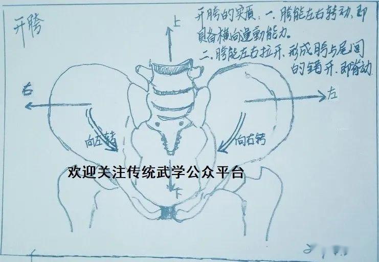 太极拳解密松腰松胯