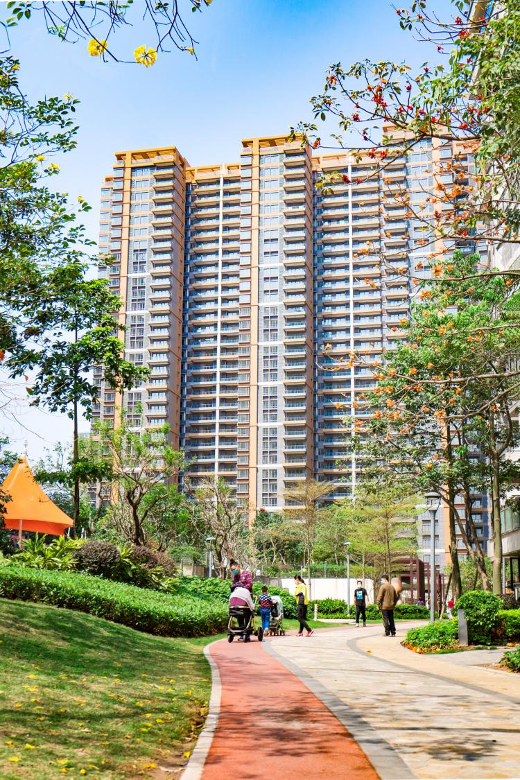 55分钟热销5亿凯粤湾黄金周受家长热捧人气飙升