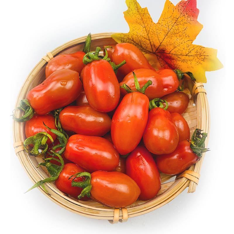 好味丨酸甜水灵入口爆汁的新鲜花生小番茄来了