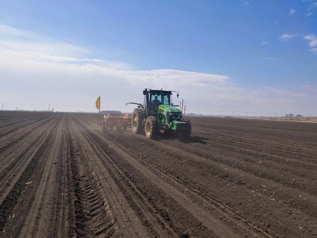 龙镇农场有限公司全面开展大豆播种作业