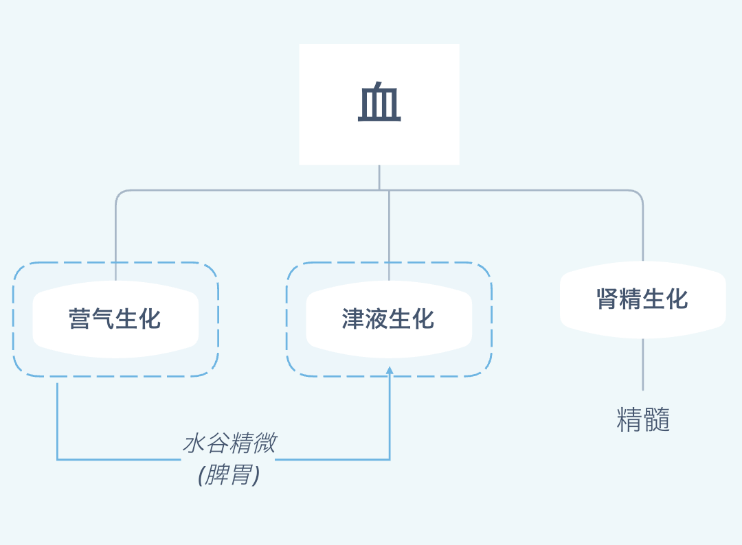 其中的津液和营气,其实都来自于脾胃消化吸收而生成的水谷精微.