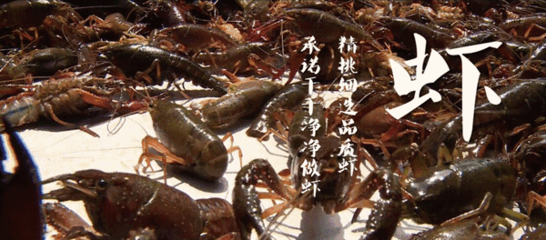 含山网红天空之城盱眙金湖青壳大龙虾28元斤扎啤畅饮