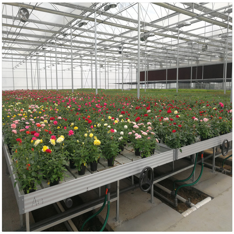 潮汐式育苗床水培苗床温室苗床桐璞苗床