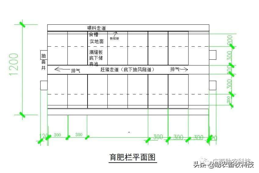 存欄母豬500頭自繁自養年出欄萬頭肉豬所需要的基本數據全套圖紙分享