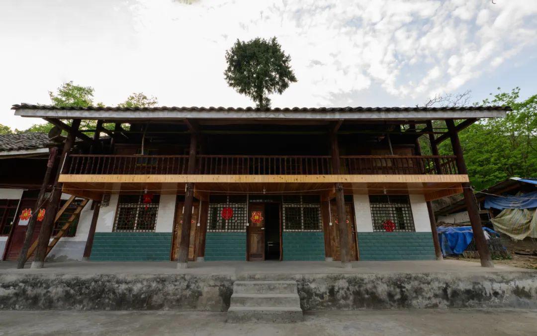 云赏青川茶坝芥菜花转发集赞得老鹰茶咯