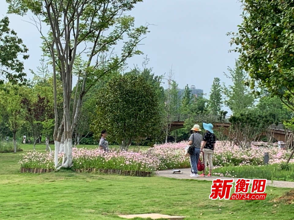 向不文明行为说不游客随意践踏花草东洲岛美丽打折