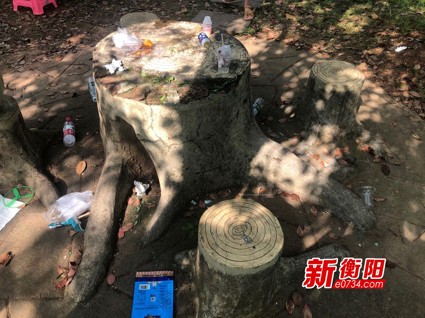 向不文明行为说"不":游客随地丢垃圾 平湖公园很"受伤"