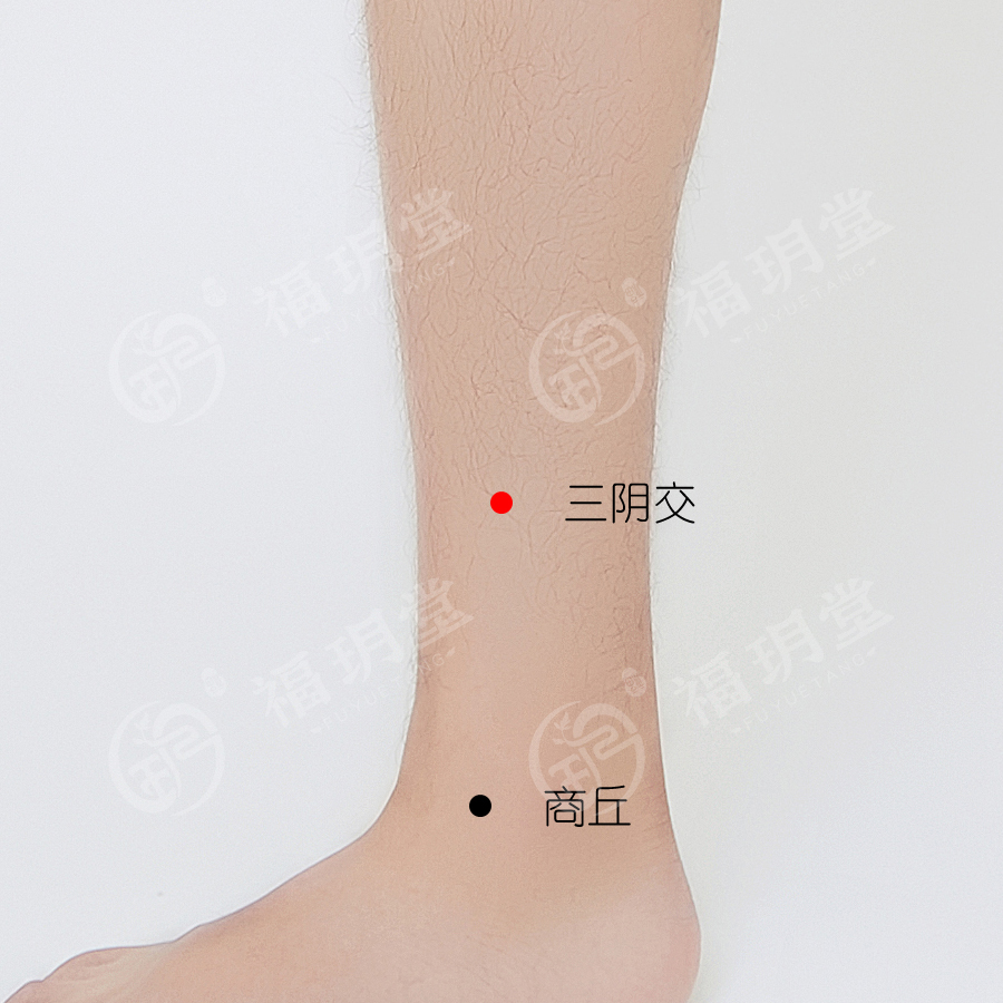 陽氣|立夏的節氣灸，補陽氣又養心