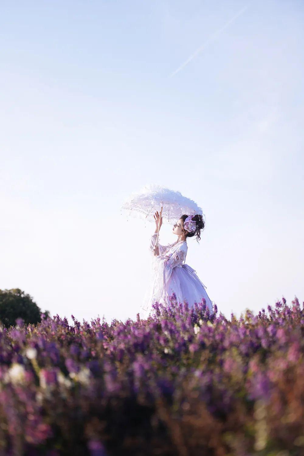 高能专区丨正是春暖花开时尼康z7拍摄花海中的少女