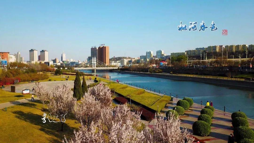 一组航拍图片《桃河春色》在桃花映衬下"中共第一城"更加光彩照人城市