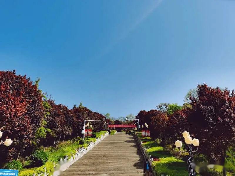灵台百里林场,灵台_大山谷图库