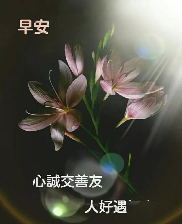 朋友圈早上好暖心祝福语短信句子漂亮早上好问候语图片动态带字