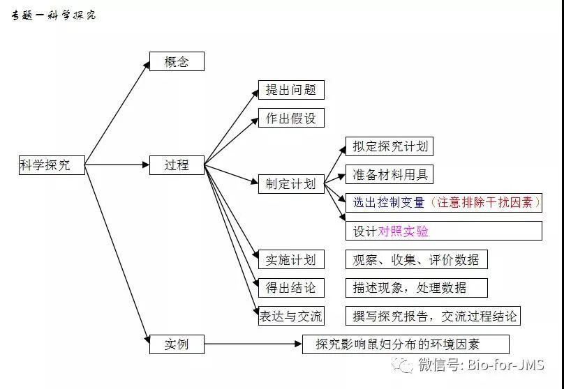 初中生物思維導圖簡潔版