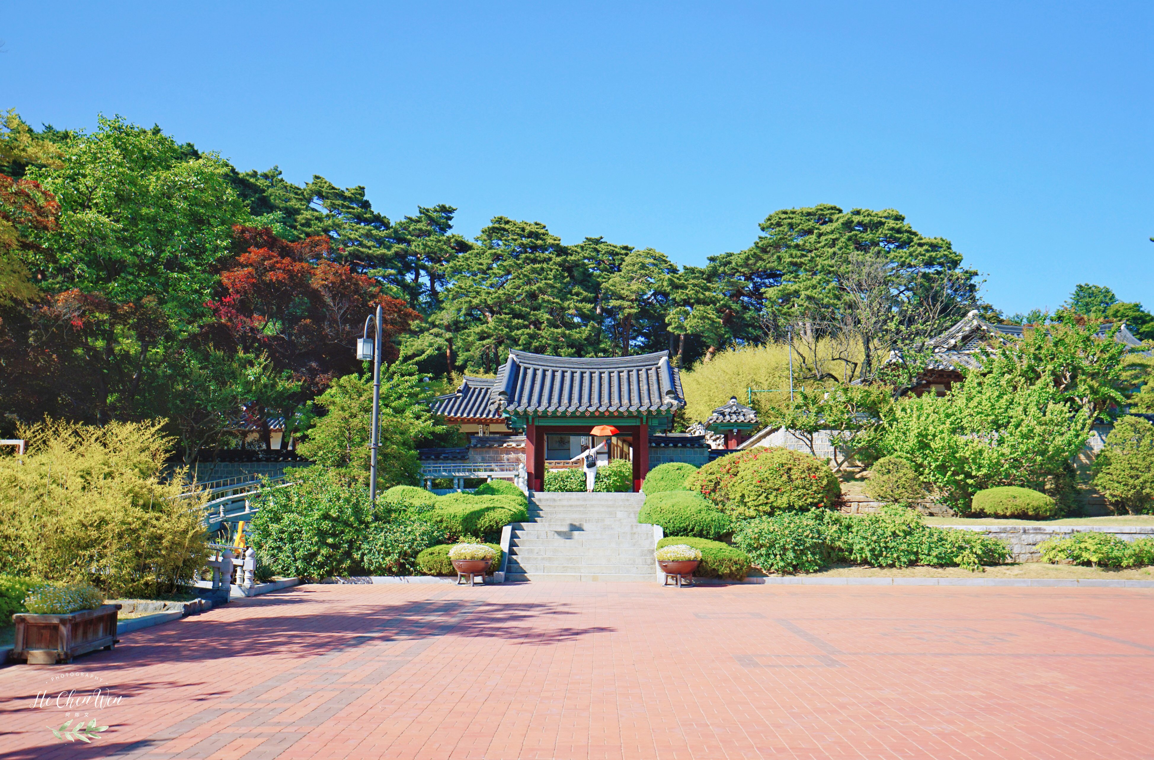 原创江原道著名景点韩国最贵女人的故居因遍布深色竹子得名