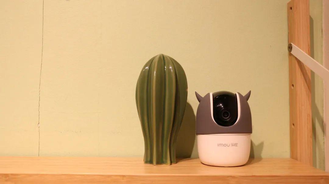 乐橙云开启农家乐智慧场景引领消费升级