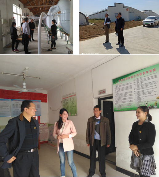 定远县吴圩镇:政协为脱贫攻坚,乡村振兴当好参谋