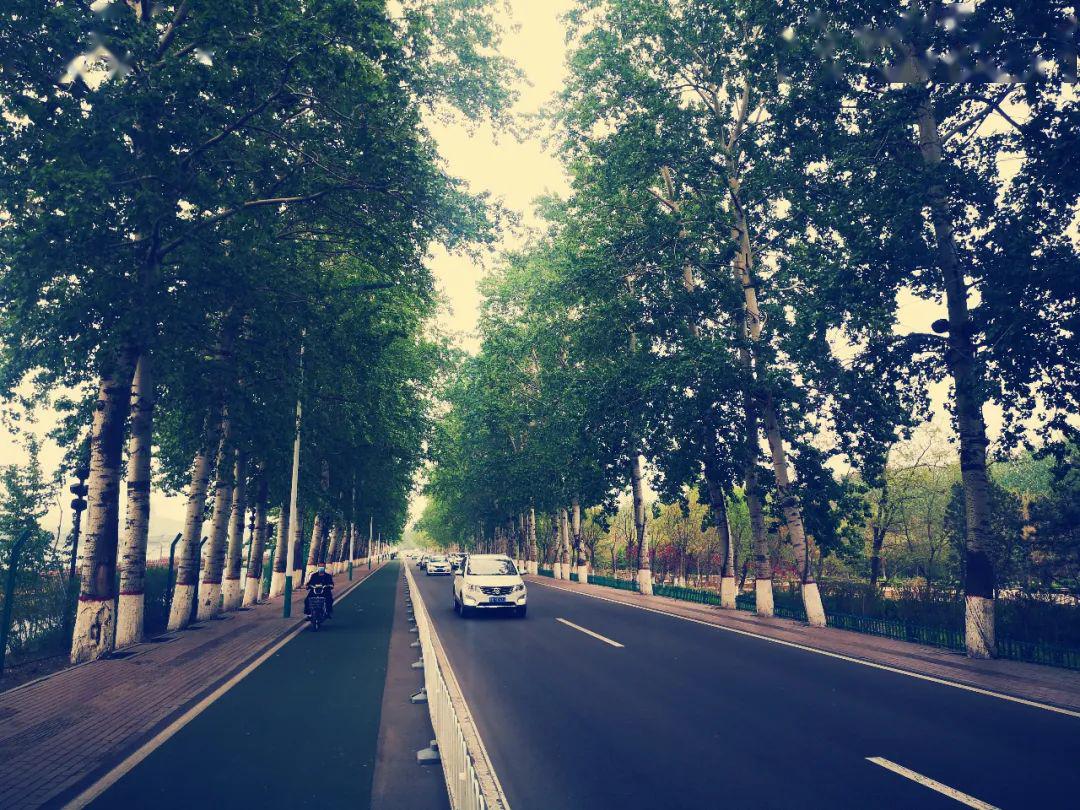 你好!南湖大道!_唐山