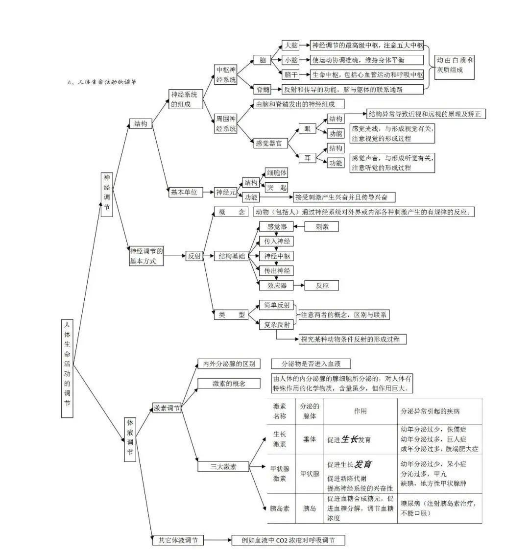 初中生物思維導圖簡潔版