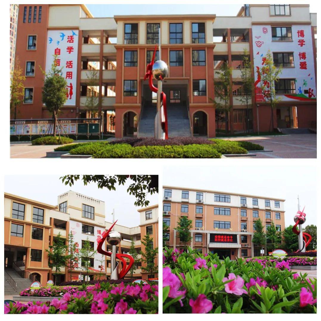 成语典故争霸赛洞山中学泉山湖校区小记者站作品展示二塞翁失马淝水之