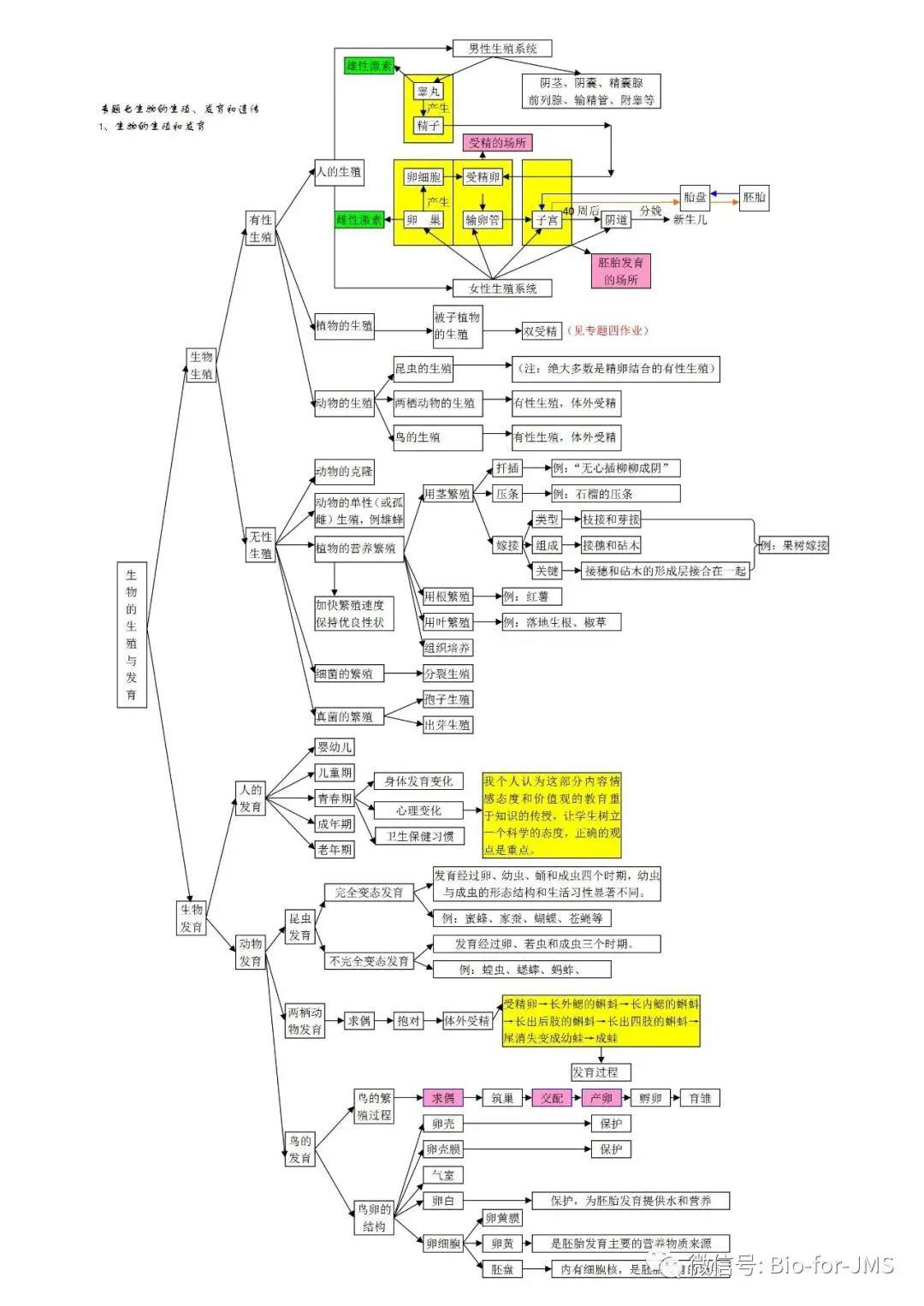 初中生物思維導圖簡潔版