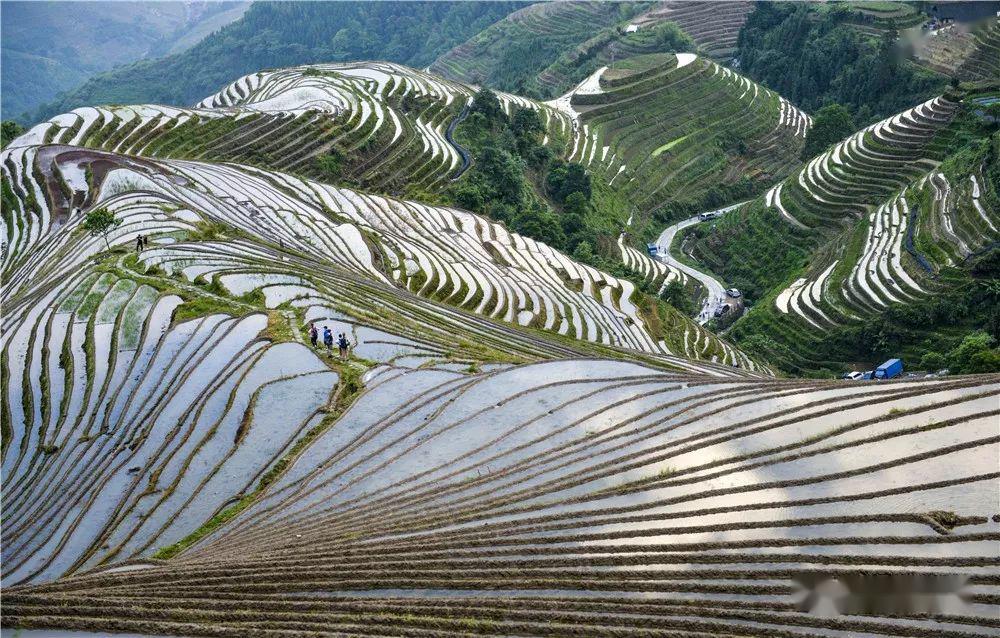 龙脊梯田灌水季6月13日20日桂林山水龙脊梯田摄影实战创作团