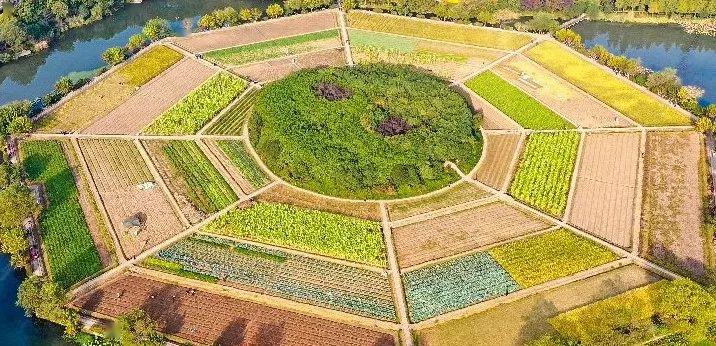 天子亲耕之田八卦田杭州国际越野赛赛道即将迎来它的直播首秀~5月17日