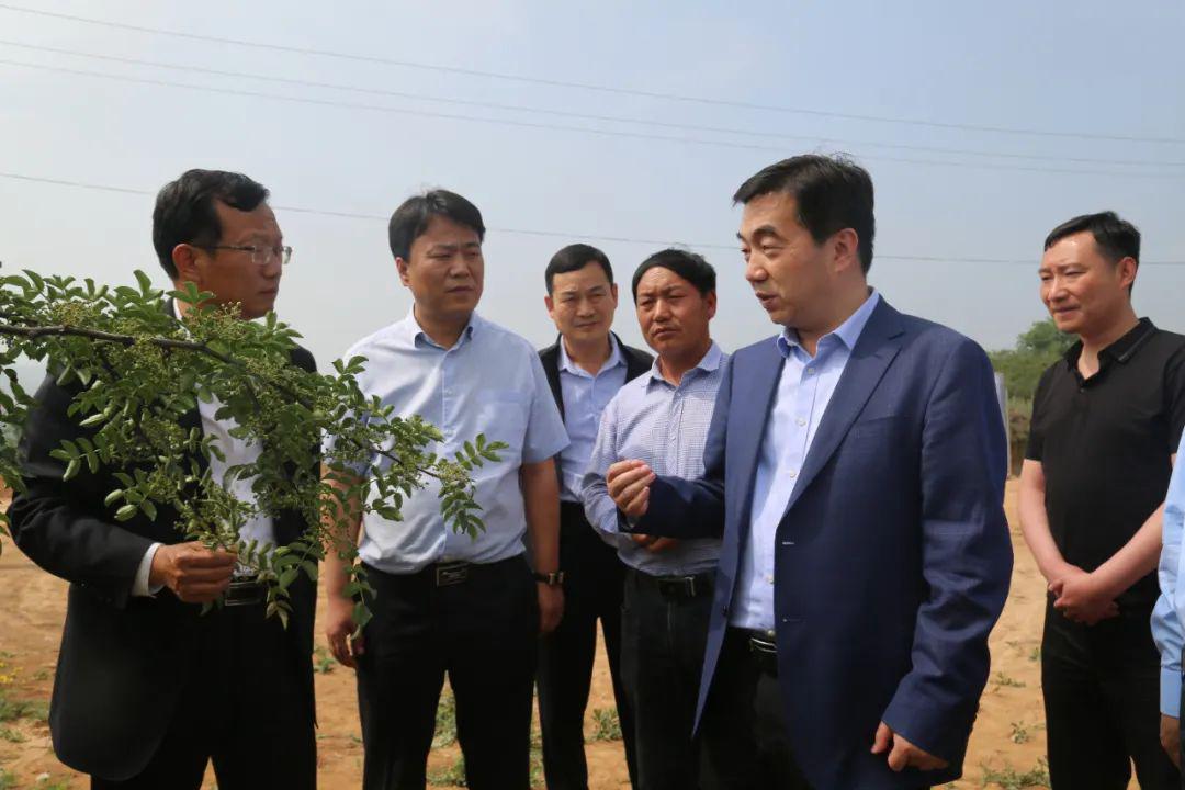 韩城市委副书记,市长亢振峰带队调研南部村庄脱贫攻坚等重点工作