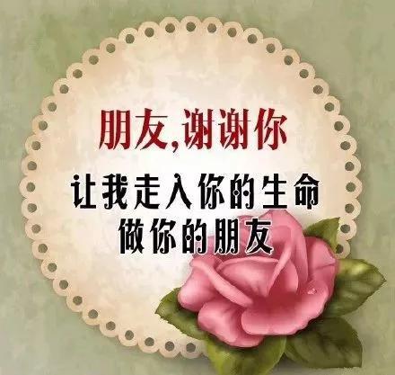 朋友圈早上好暖心祝福语短信句子漂亮早上好问候语图片动态带字