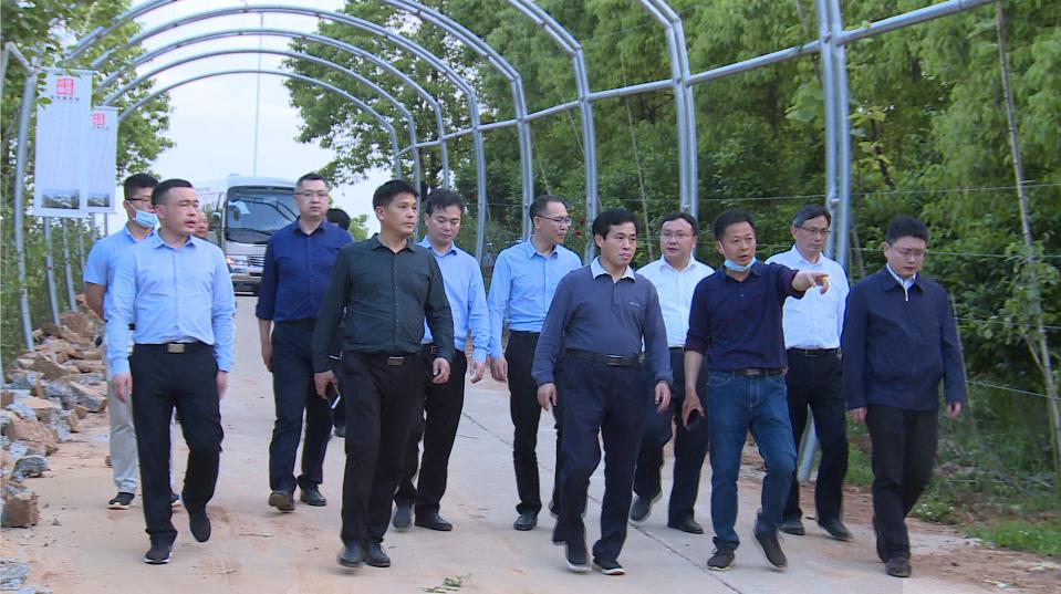 钟益民深入乡镇调研乡村旅游和乡村振兴工作