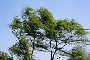 雨8级风要来了假期结束寿光天气大变脸