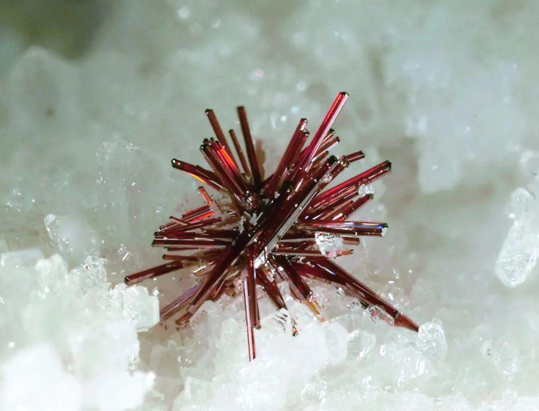 金红石宝石界低调而璀璨的最佳助手